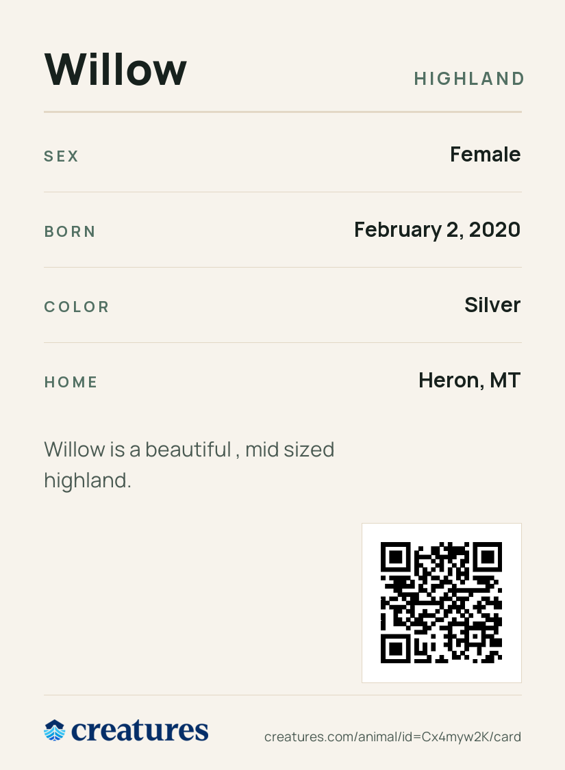 Willow Creature Card back