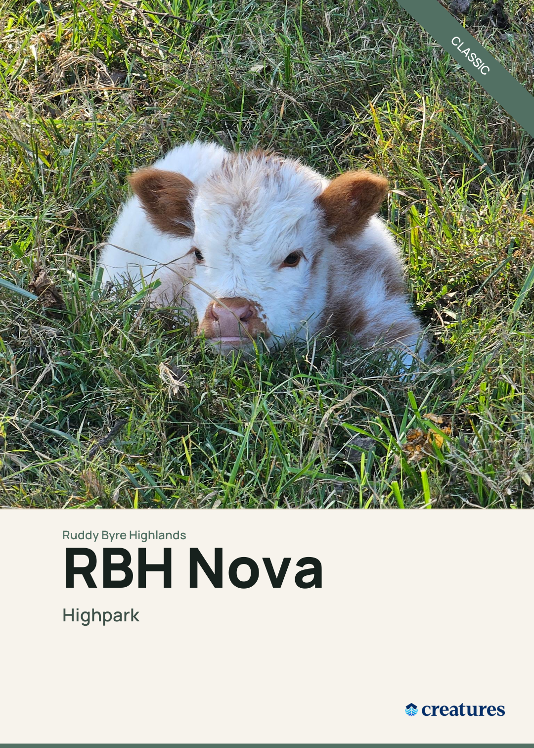 RBH Nova Creature Card