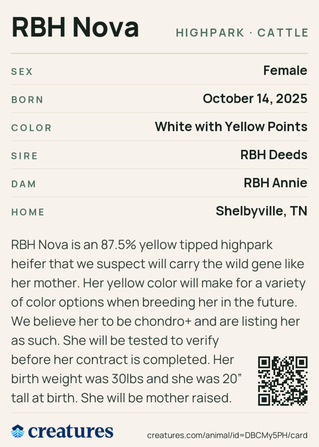 RBH Nova Creature Card back