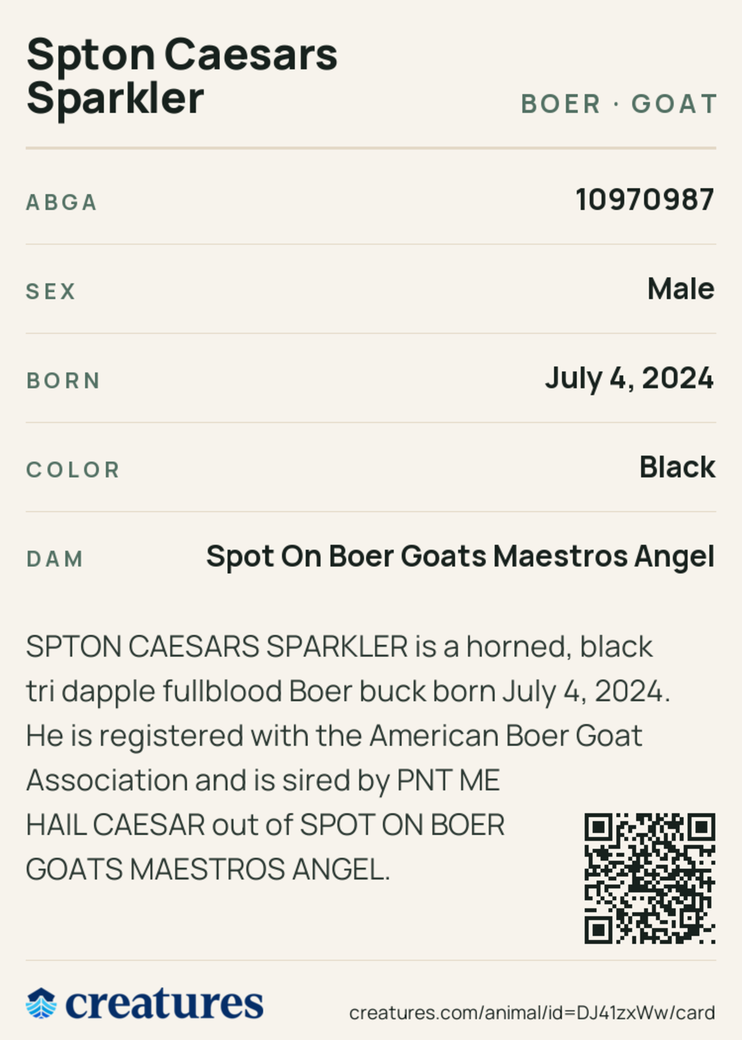 Spton Caesars Sparkler Creature Card back
