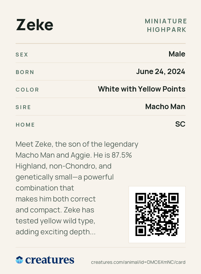 Zeke Creature Card back