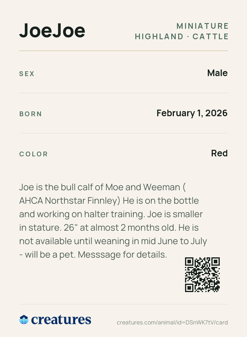 JoeJoe Creature Card back