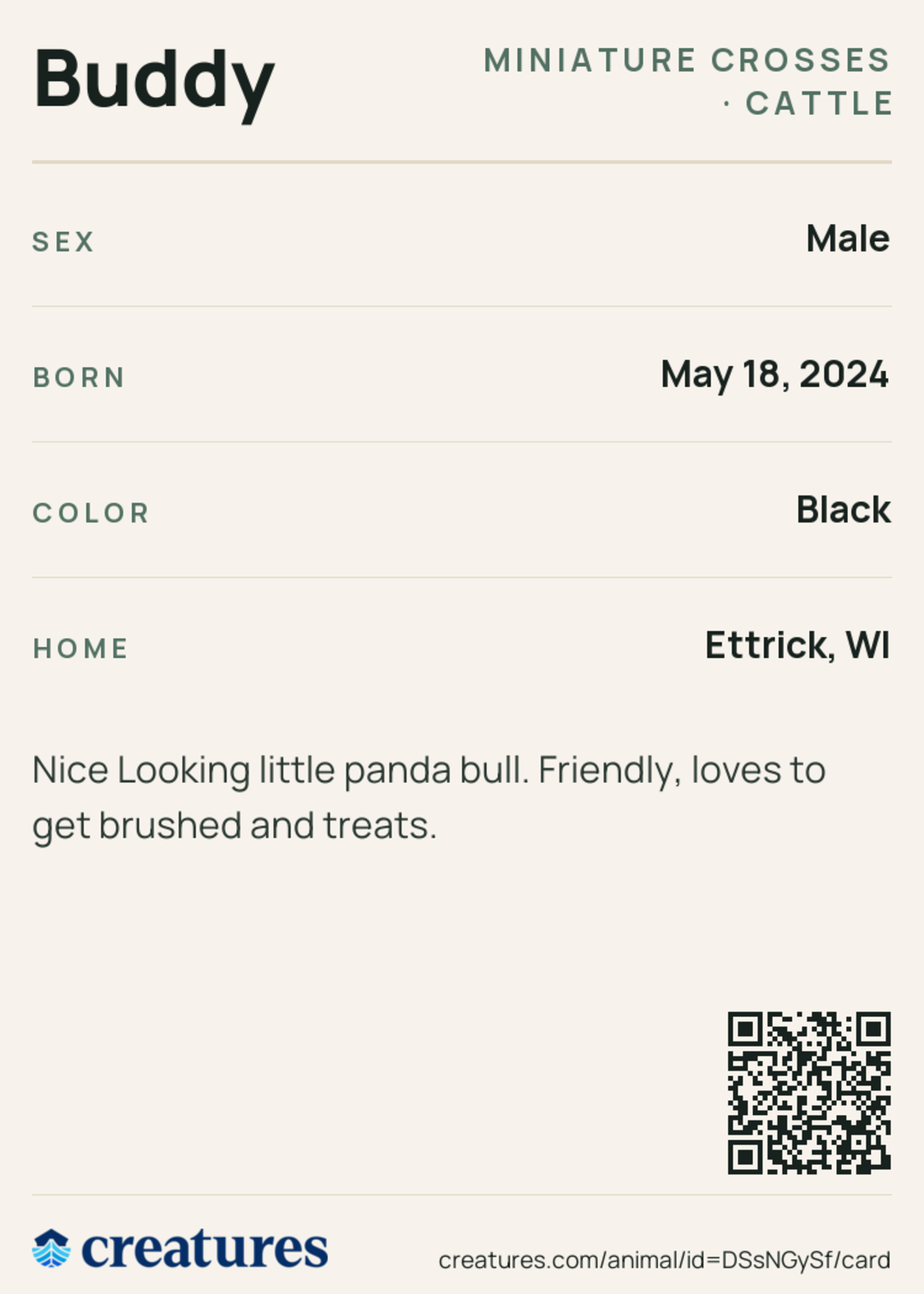 Buddy Creature Card back