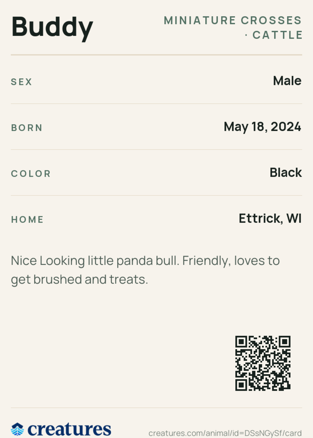 Buddy Creature Card back