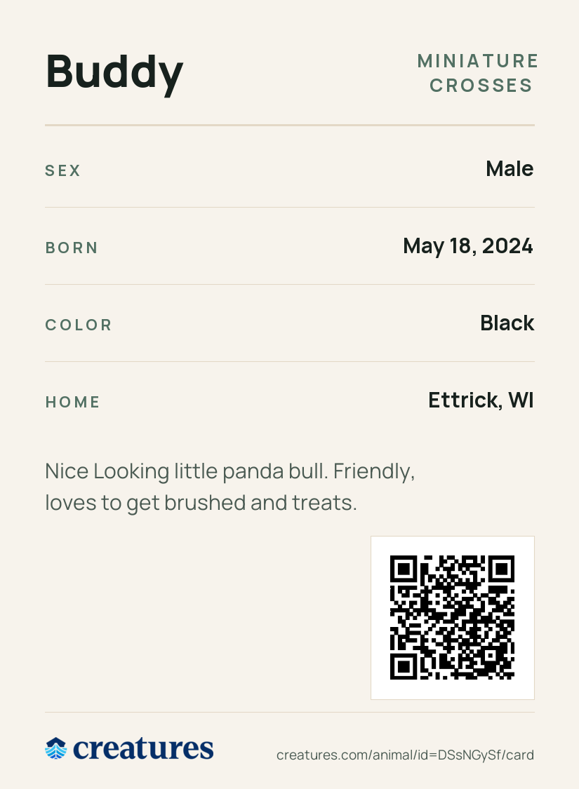 Buddy Creature Card back