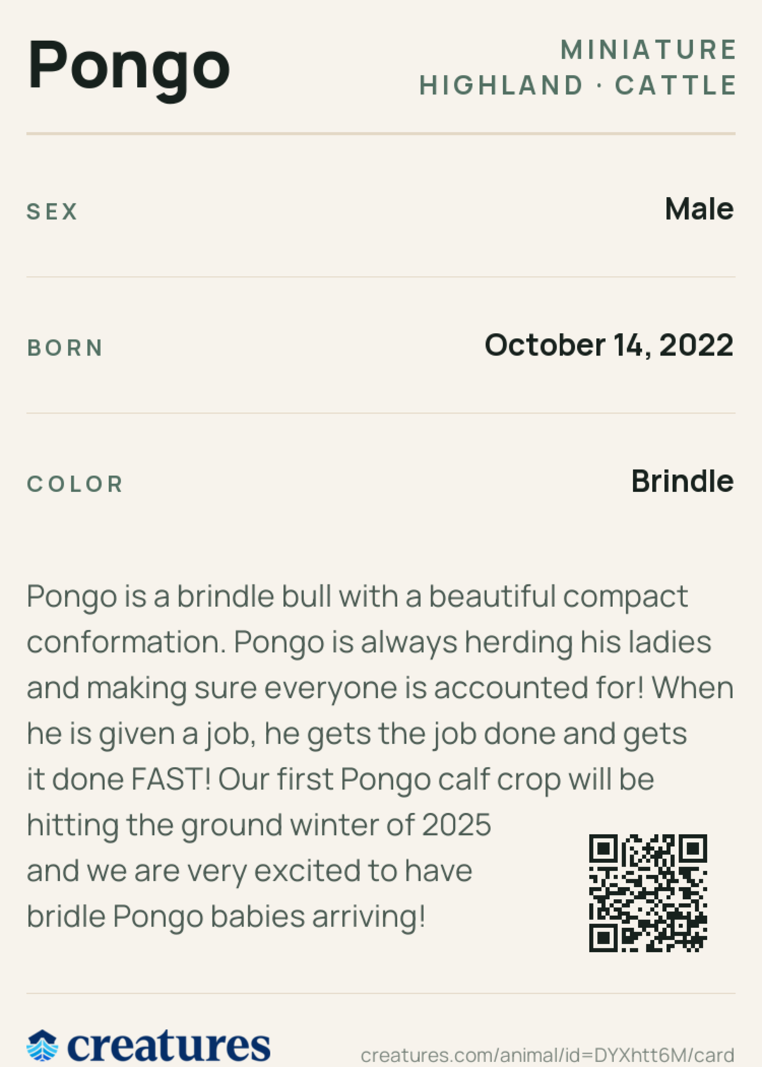 Pongo Creature Card back