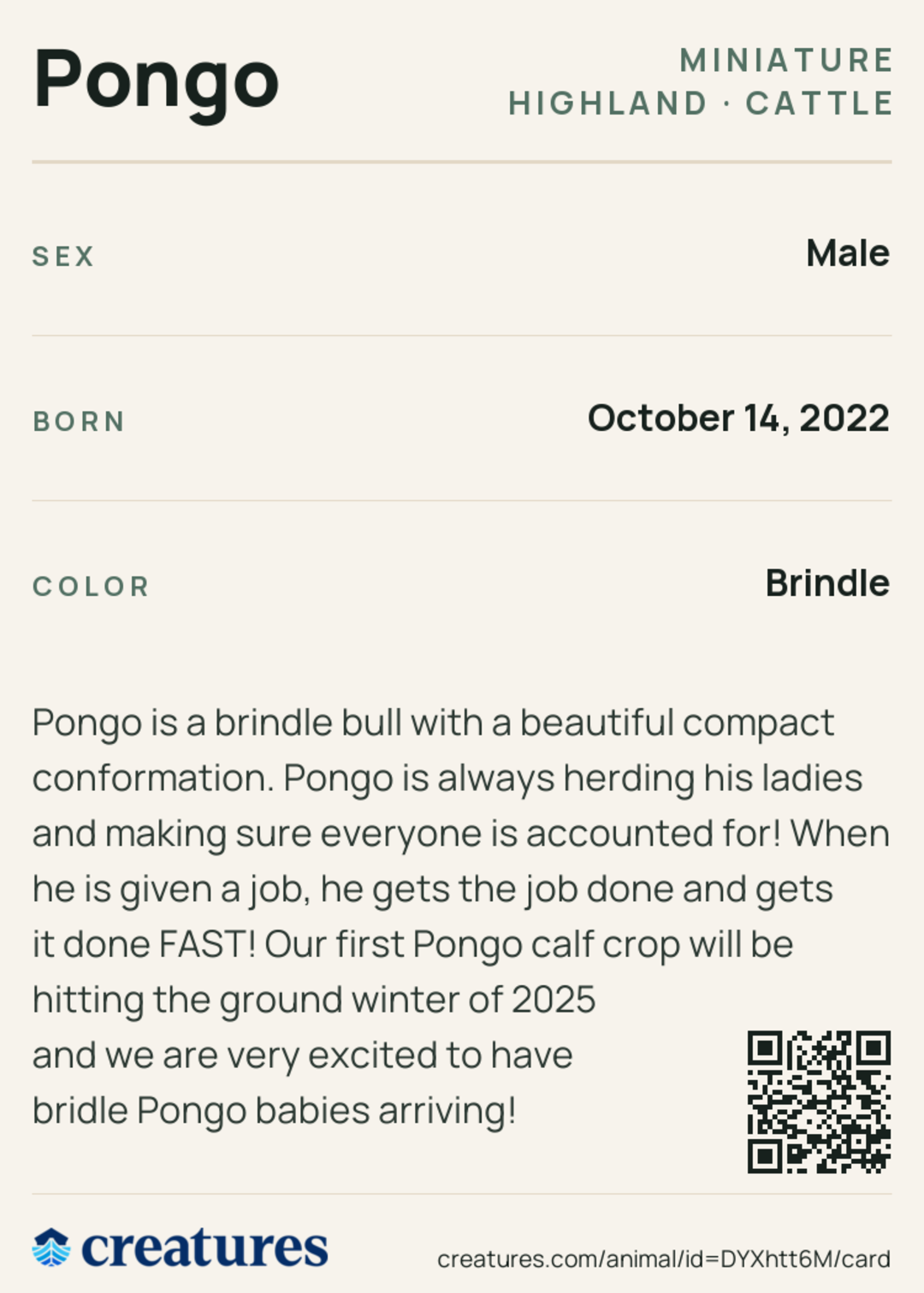 Pongo Creature Card back
