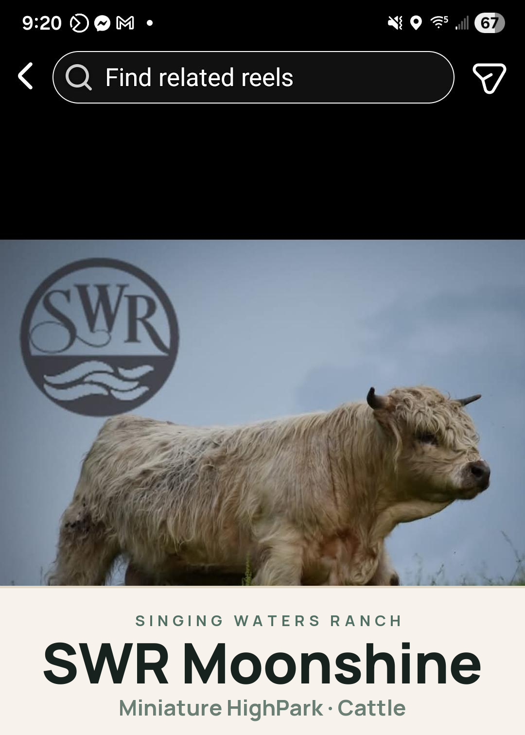 SWR Moonshine Creature Card