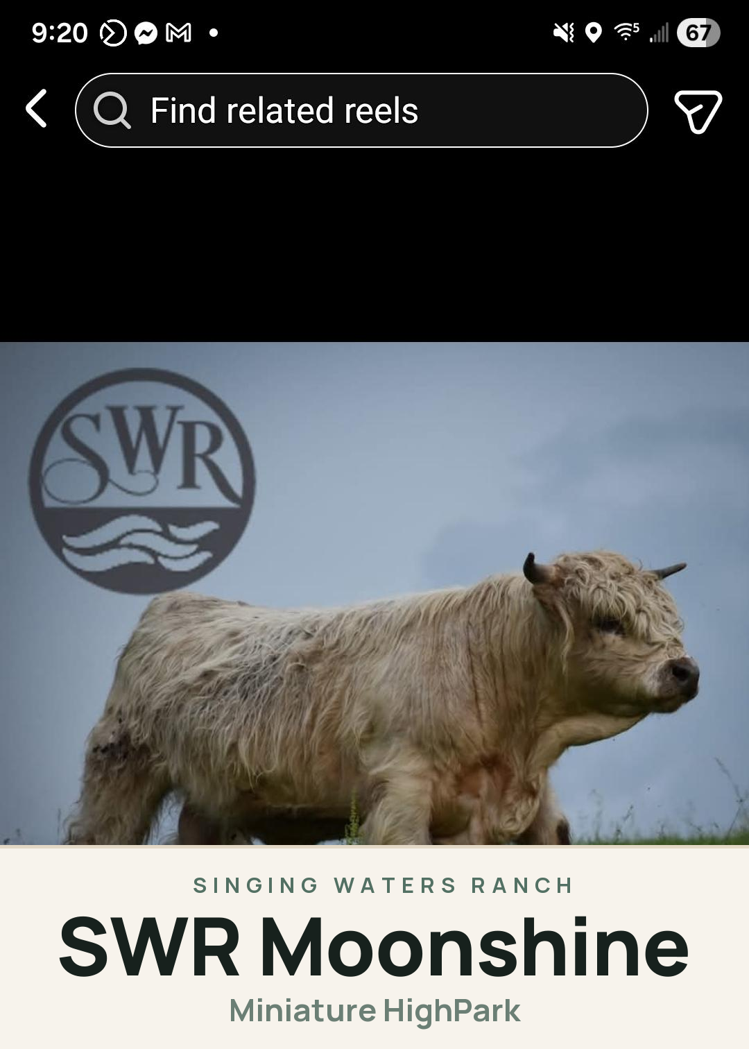 SWR Moonshine Creature Card