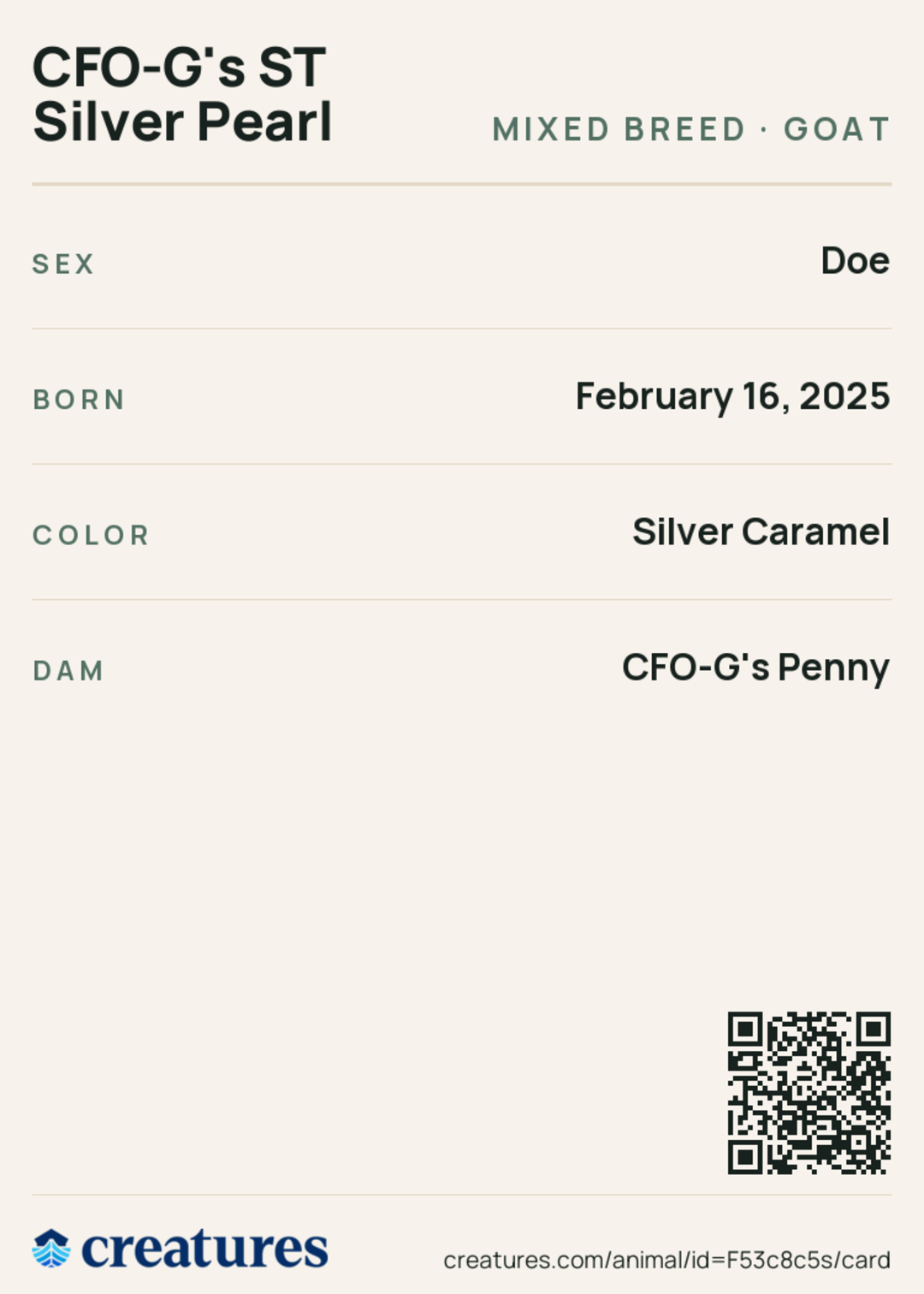 CFO-G's ST Silver Pearl Creature Card back