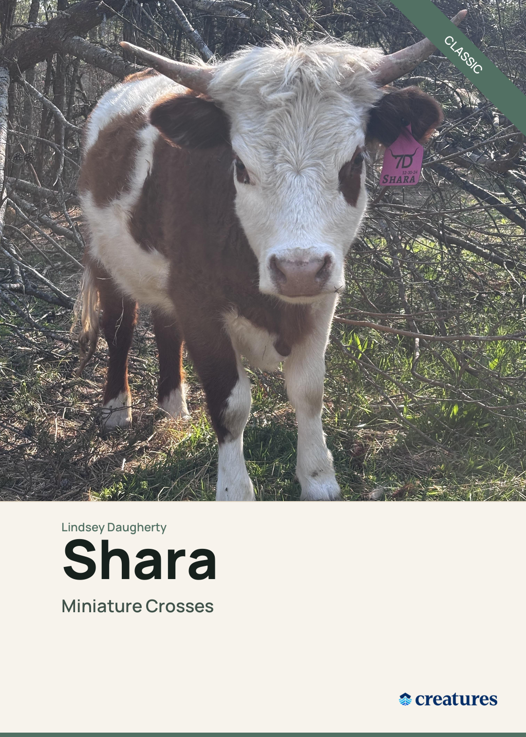 Shara Creature Card