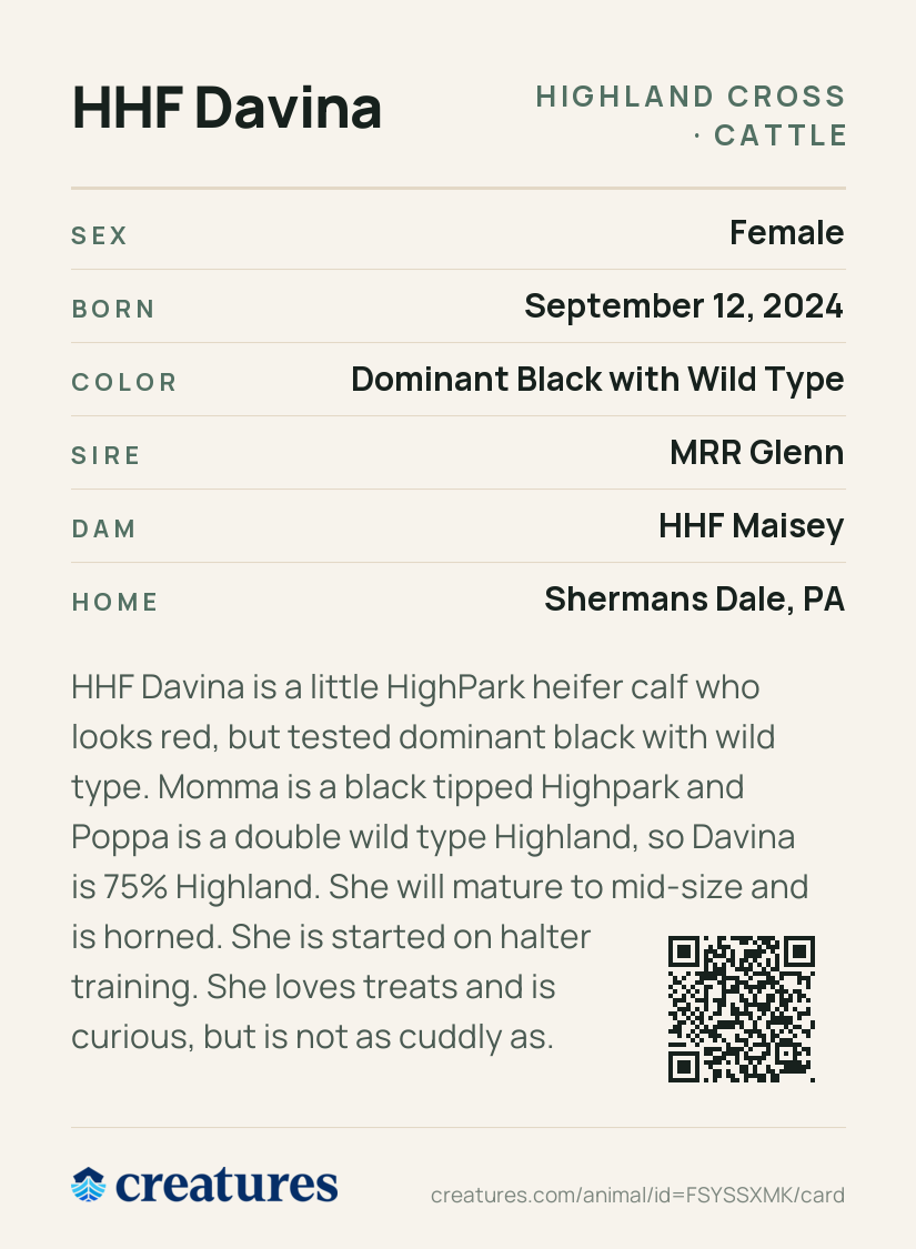 HHF Davina Creature Card back