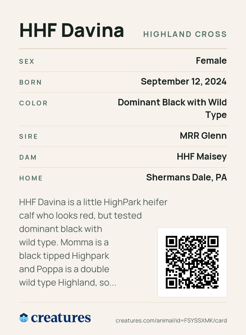 HHF Davina Creature Card back
