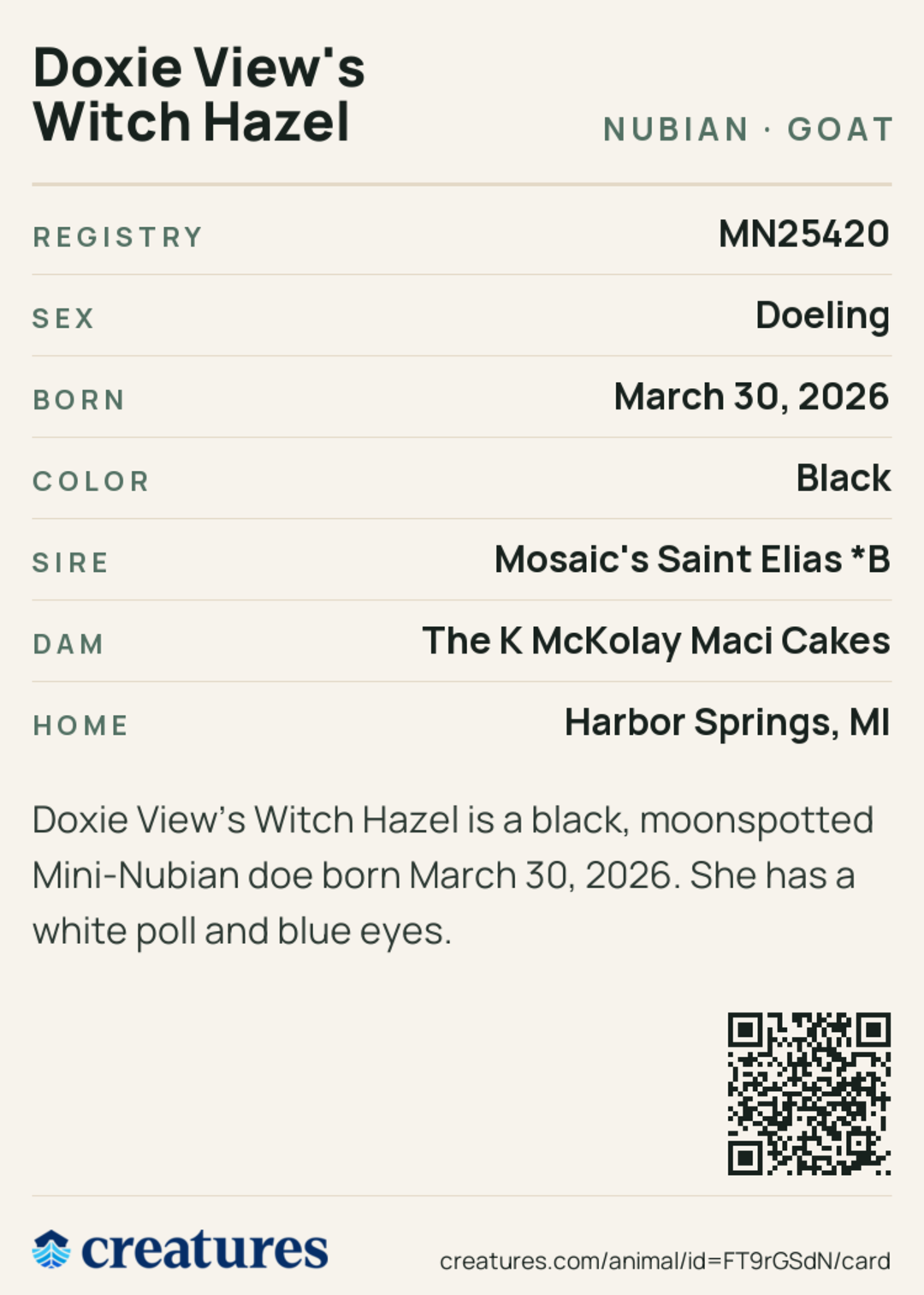 Doxie View's Witch Hazel Creature Card back