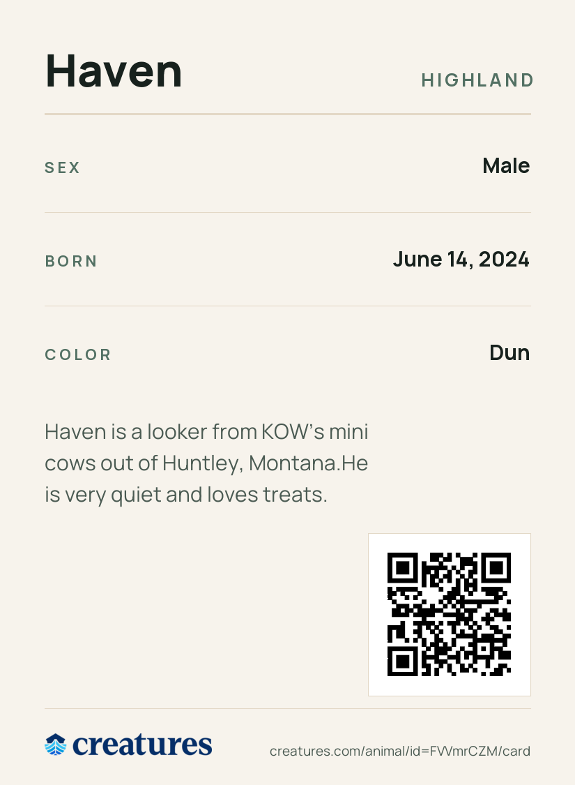 Haven Creature Card back