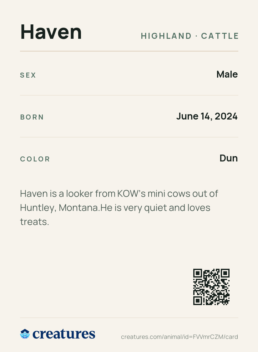Haven Creature Card back