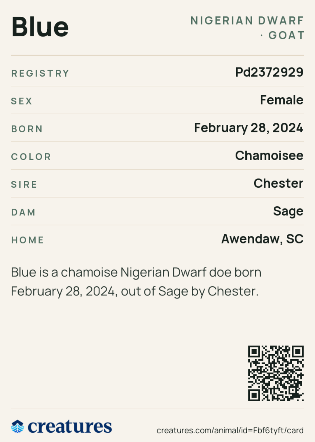 Blue Creature Card back