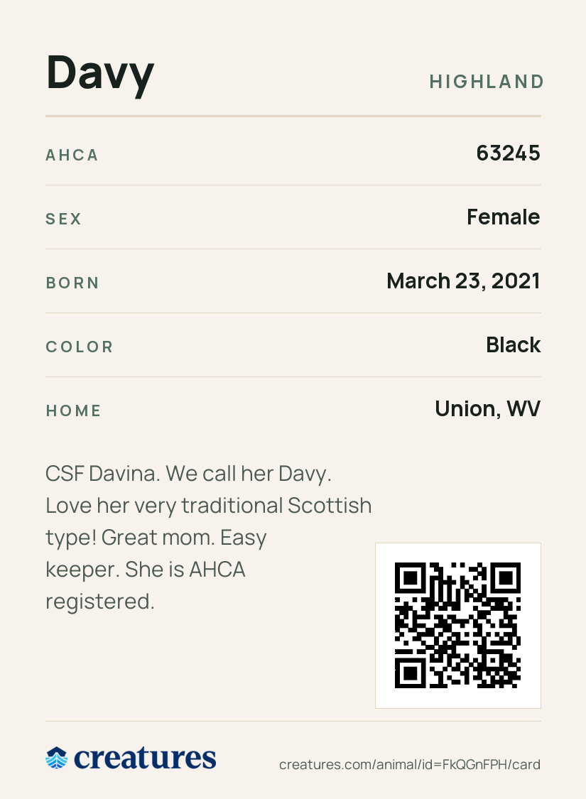 Davy Creature Card back