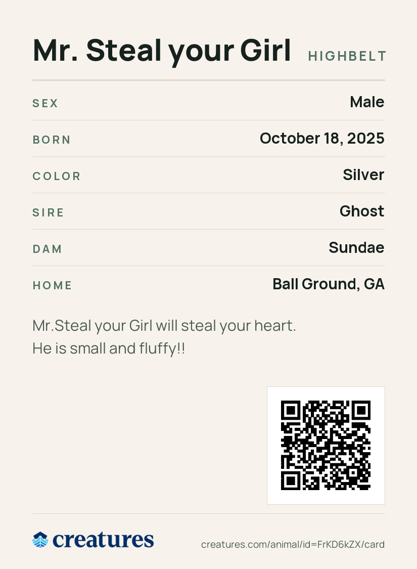 Mr. Steal your Girl Creature Card back