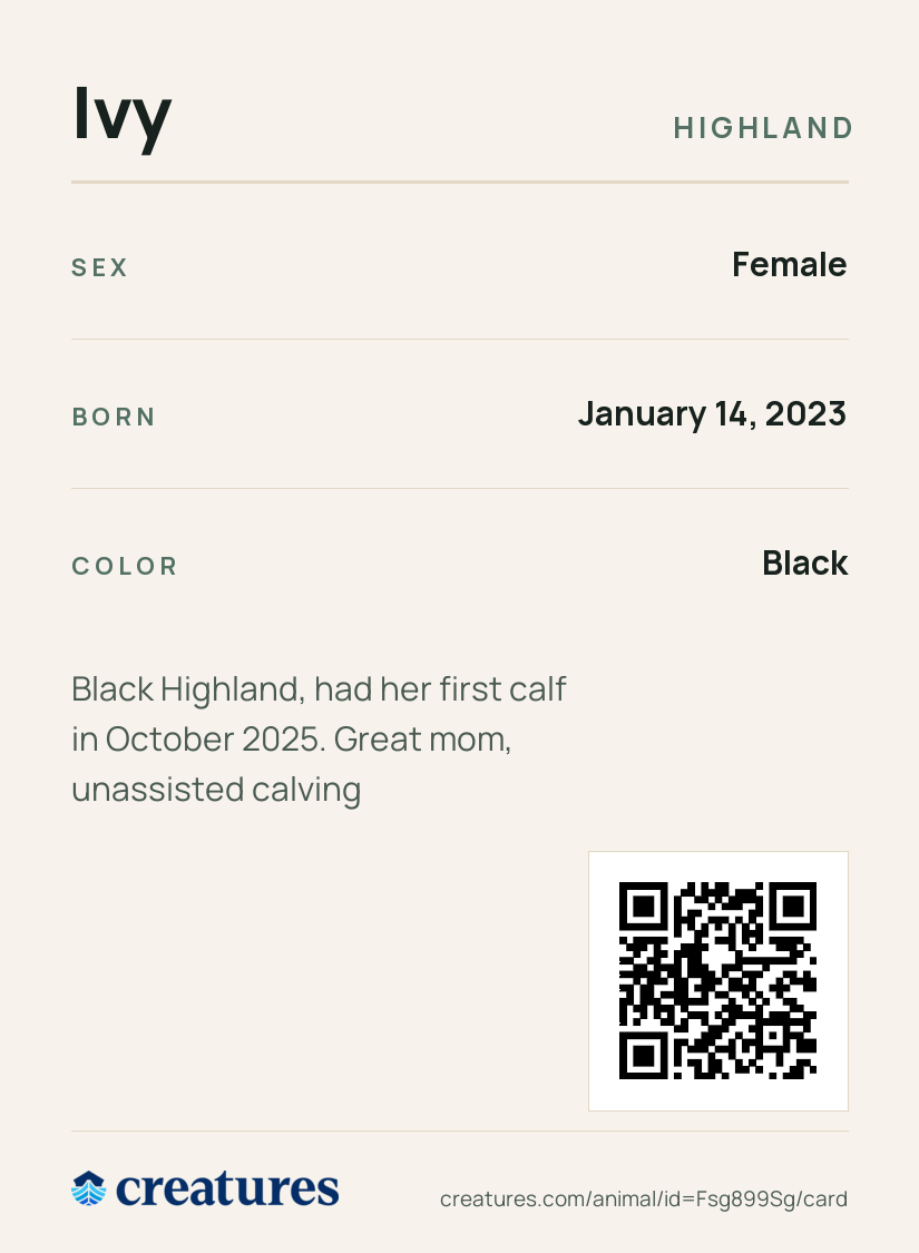 Ivy Creature Card back