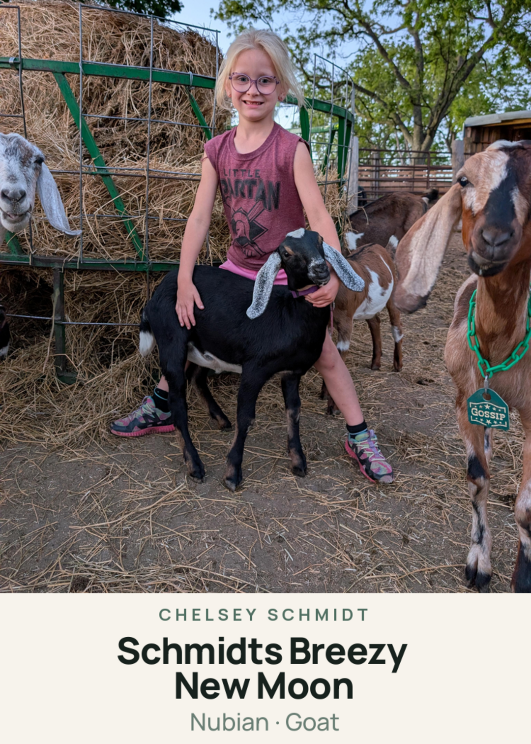 Schmidts Breezy New Moon Creature Card