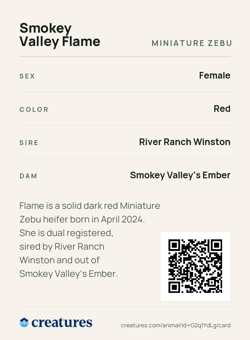 Smokey Valley Flame Creature Card back