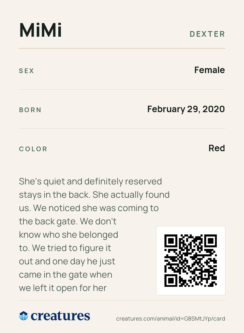 MiMi Creature Card back