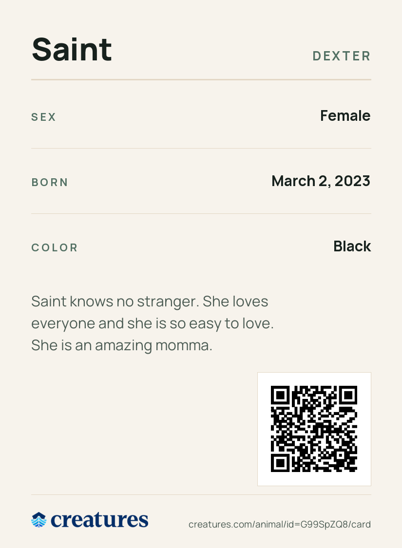 Saint Creature Card back