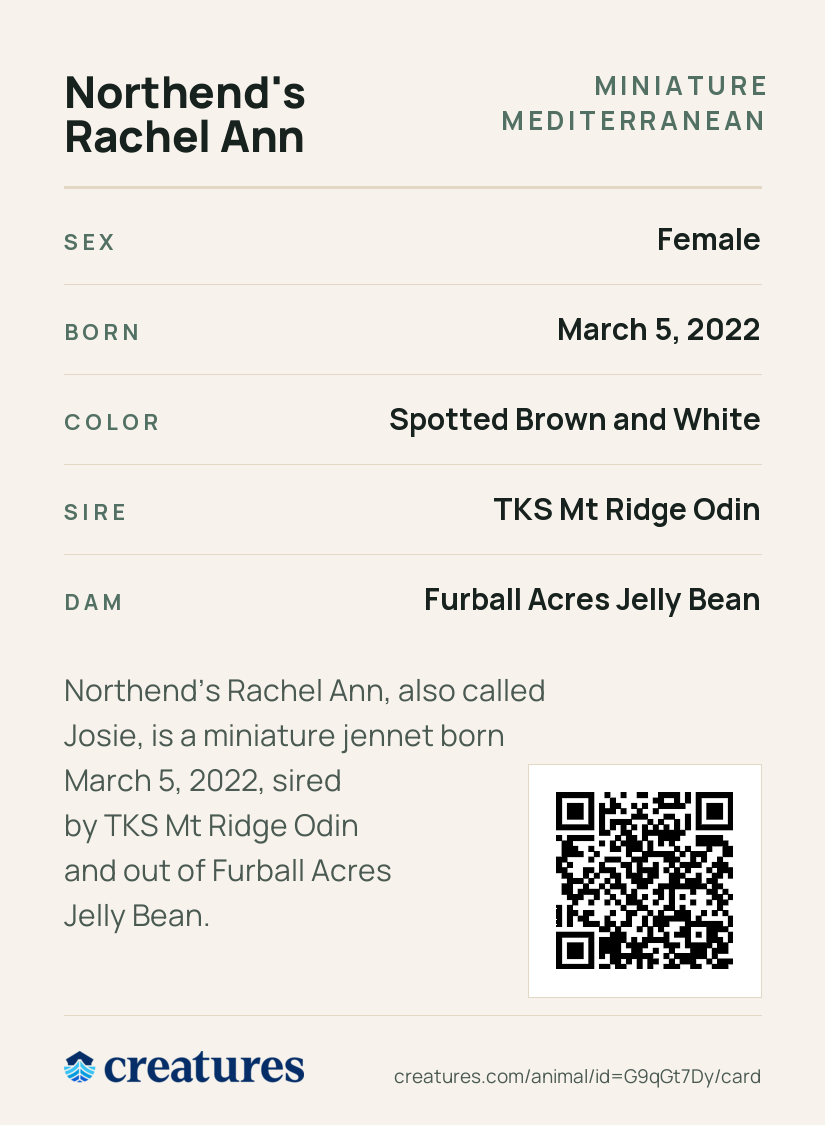 Northend's Rachel Ann Creature Card back