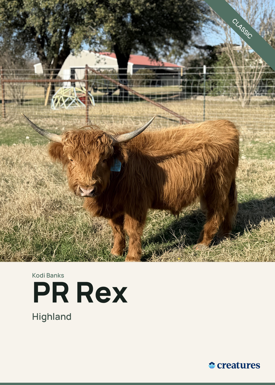 PR Rex Creature Card