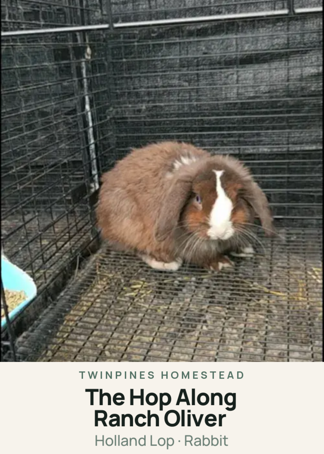 The Hop Along Ranch Oliver Creature Card