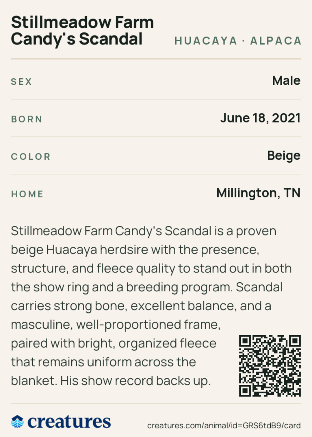 Stillmeadow Farm Candy's Scandal Creature Card back