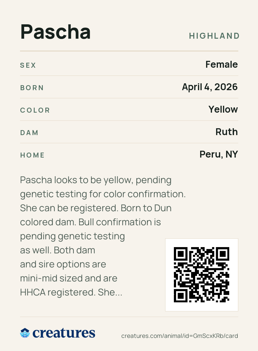 Pascha Creature Card back