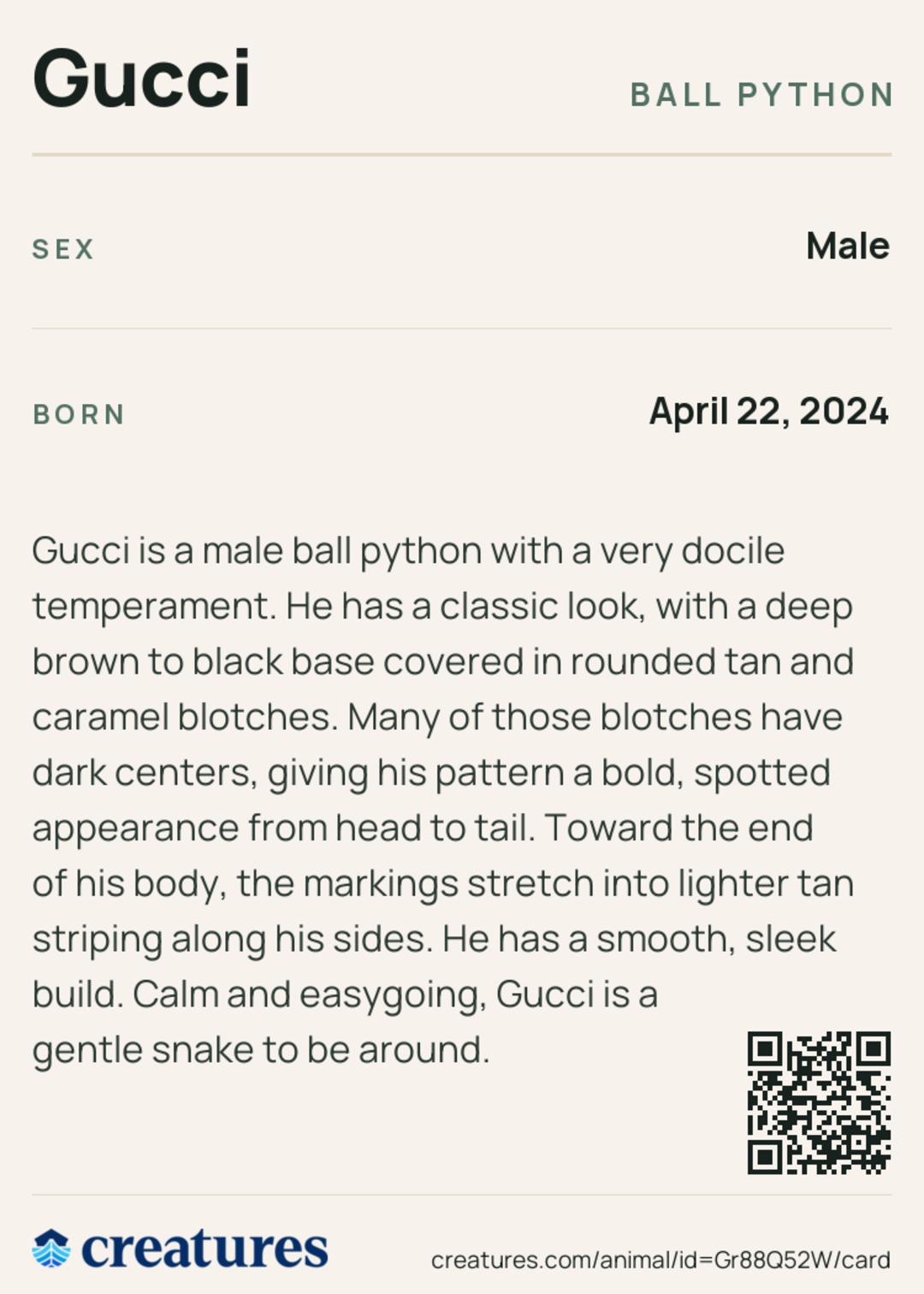 Gucci Creature Card back