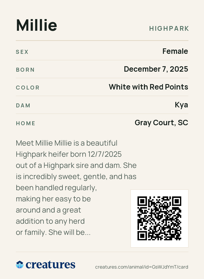 Millie Creature Card back