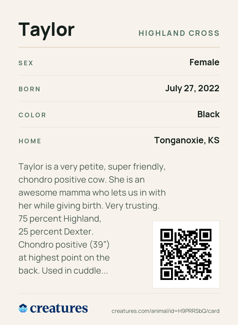 Taylor Creature Card back