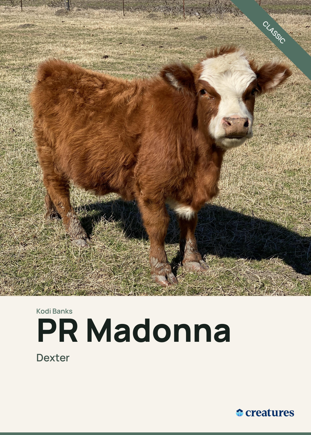 PR Madonna Creature Card