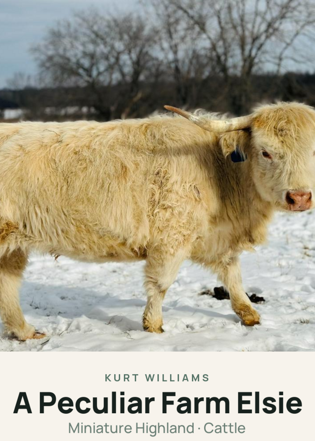 A Peculiar Farm Elsie Creature Card