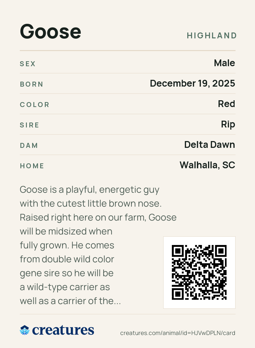 Goose Creature Card back