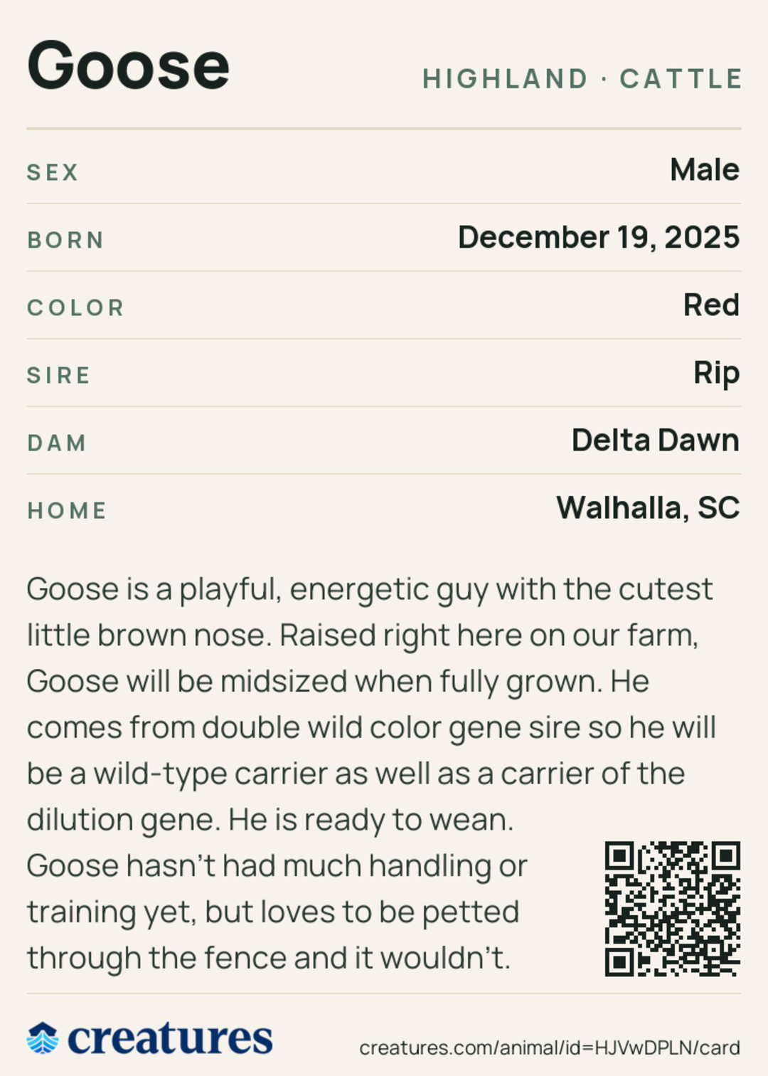 Goose Creature Card back