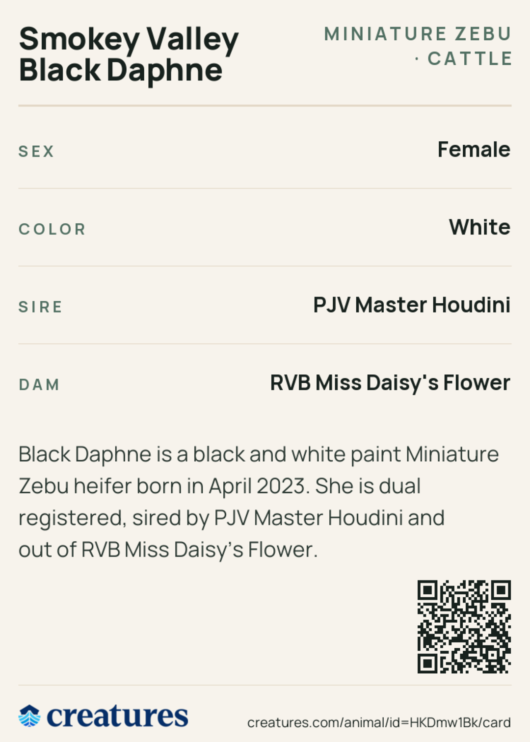 Smokey Valley Black Daphne Creature Card back