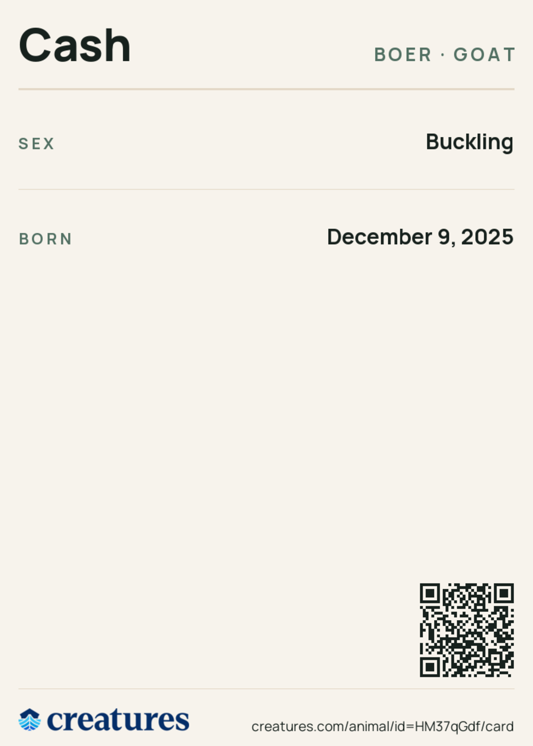 Cash Creature Card back