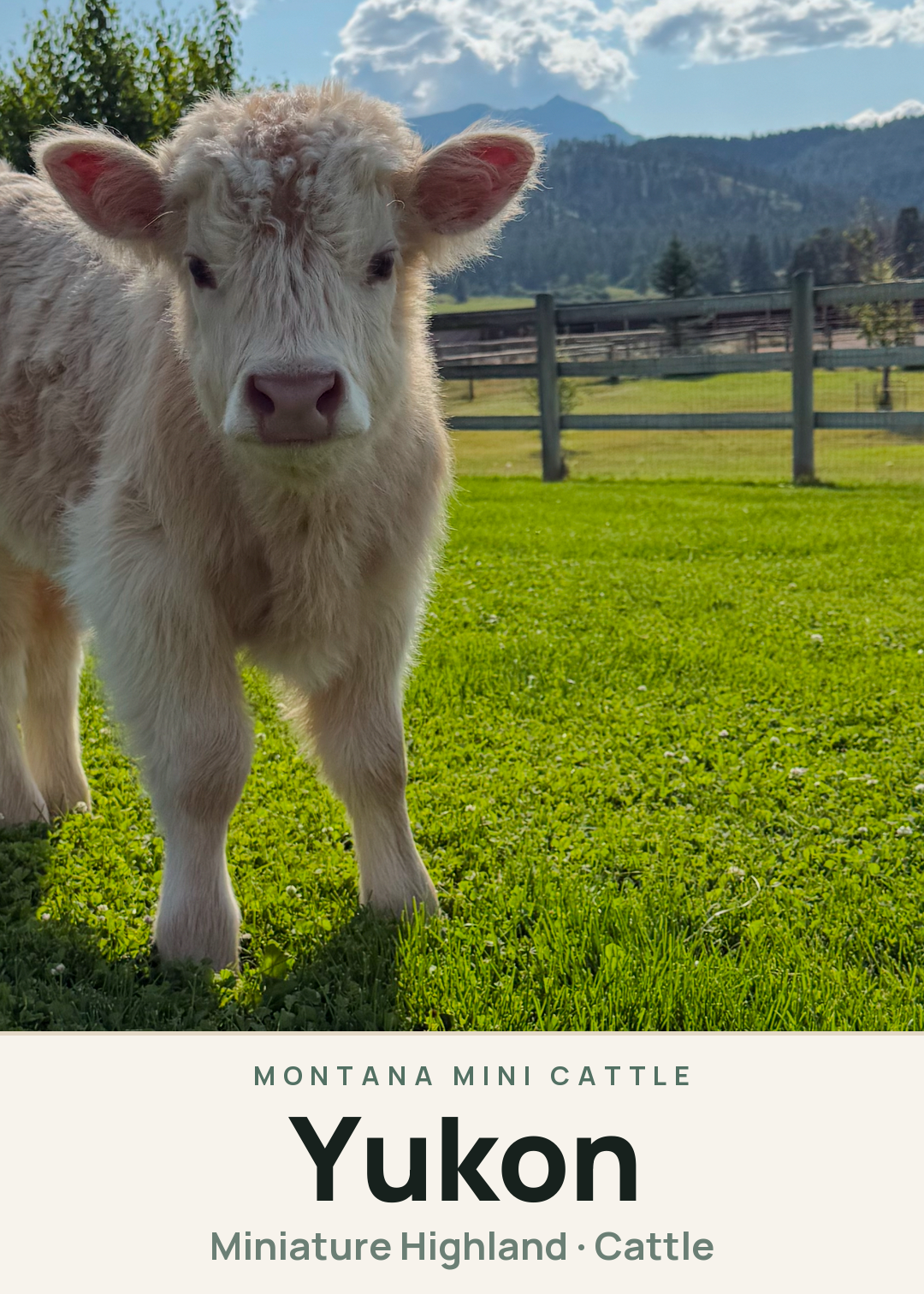Yukon Creature Card