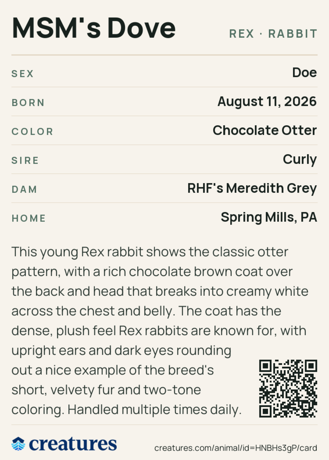 MSM's Dove Creature Card back
