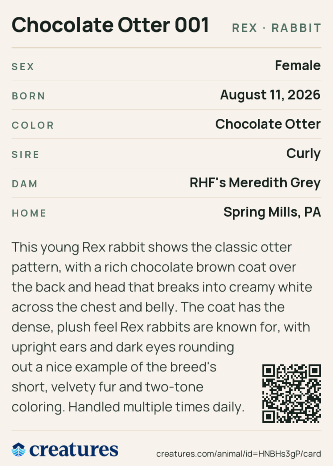 Chocolate Otter 001 Creature Card back