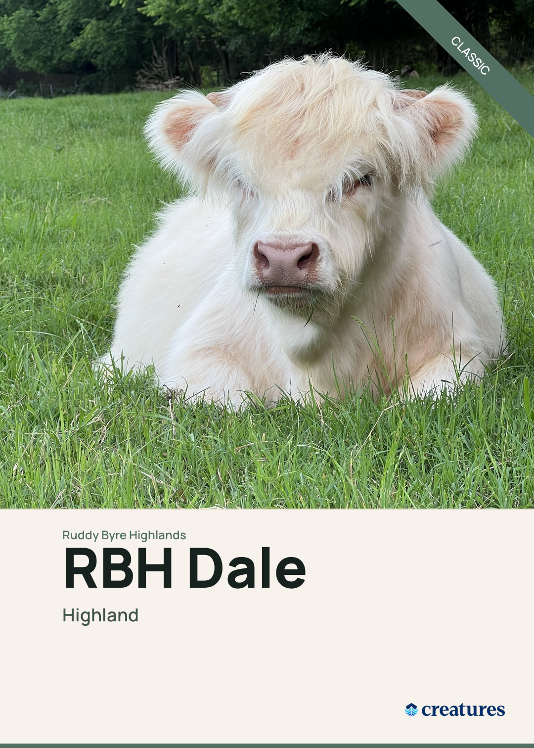 RBH Dale Creature Card