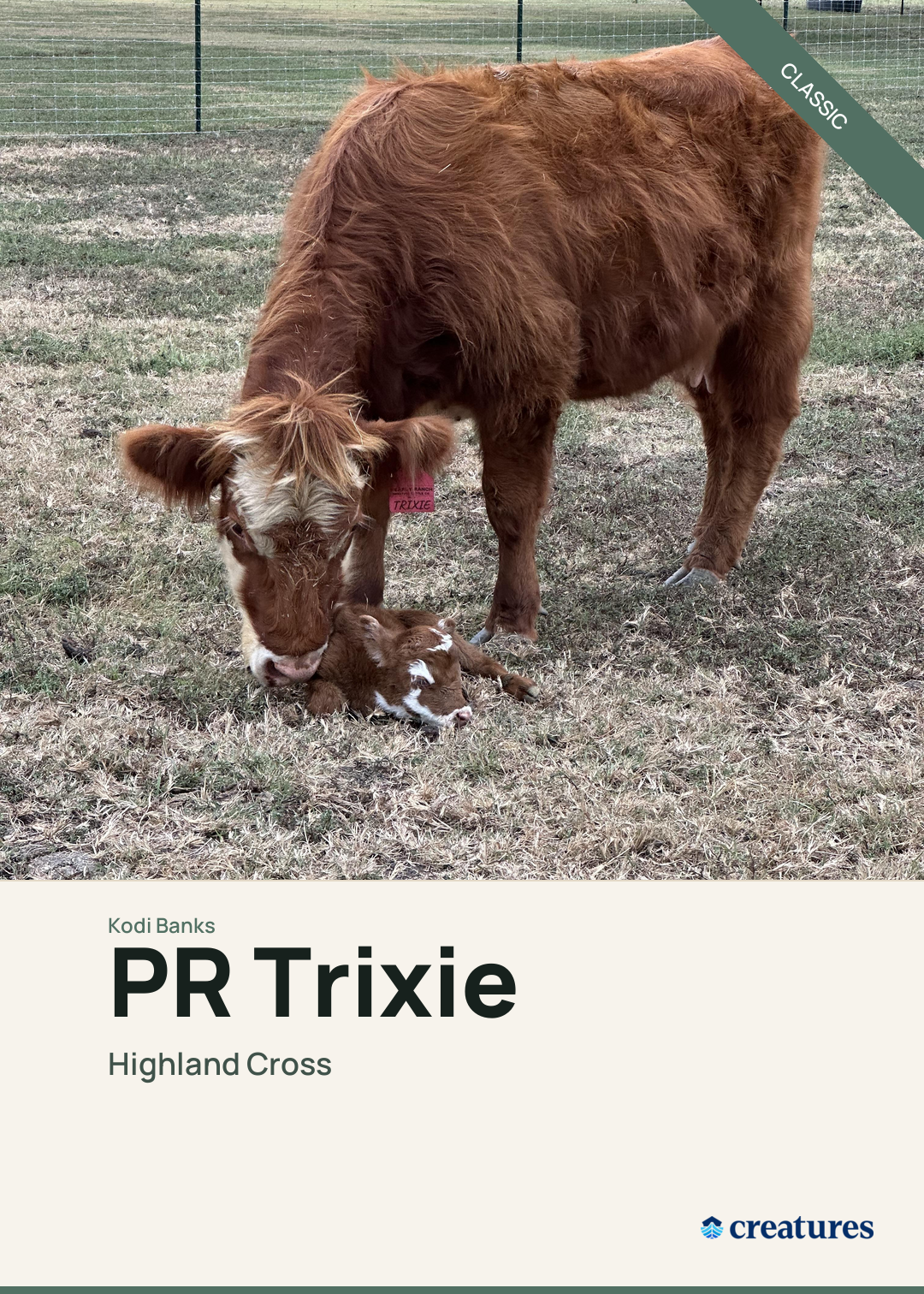 PR Trixie Creature Card