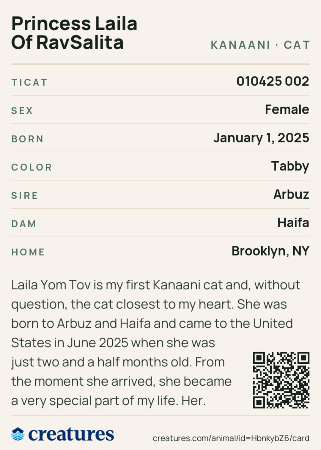 Princess Laila Of RavSalita Creature Card back