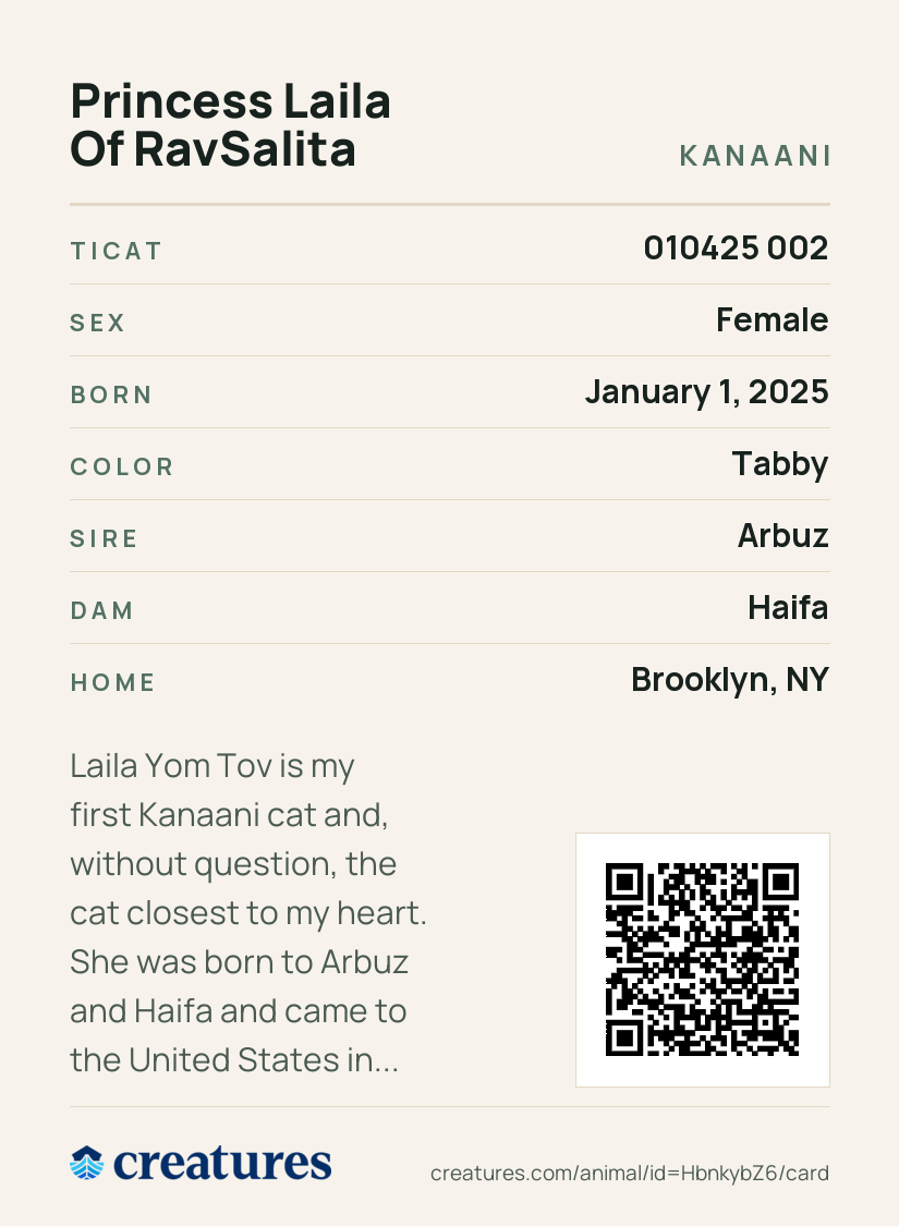 Princess Laila Of RavSalita Creature Card back