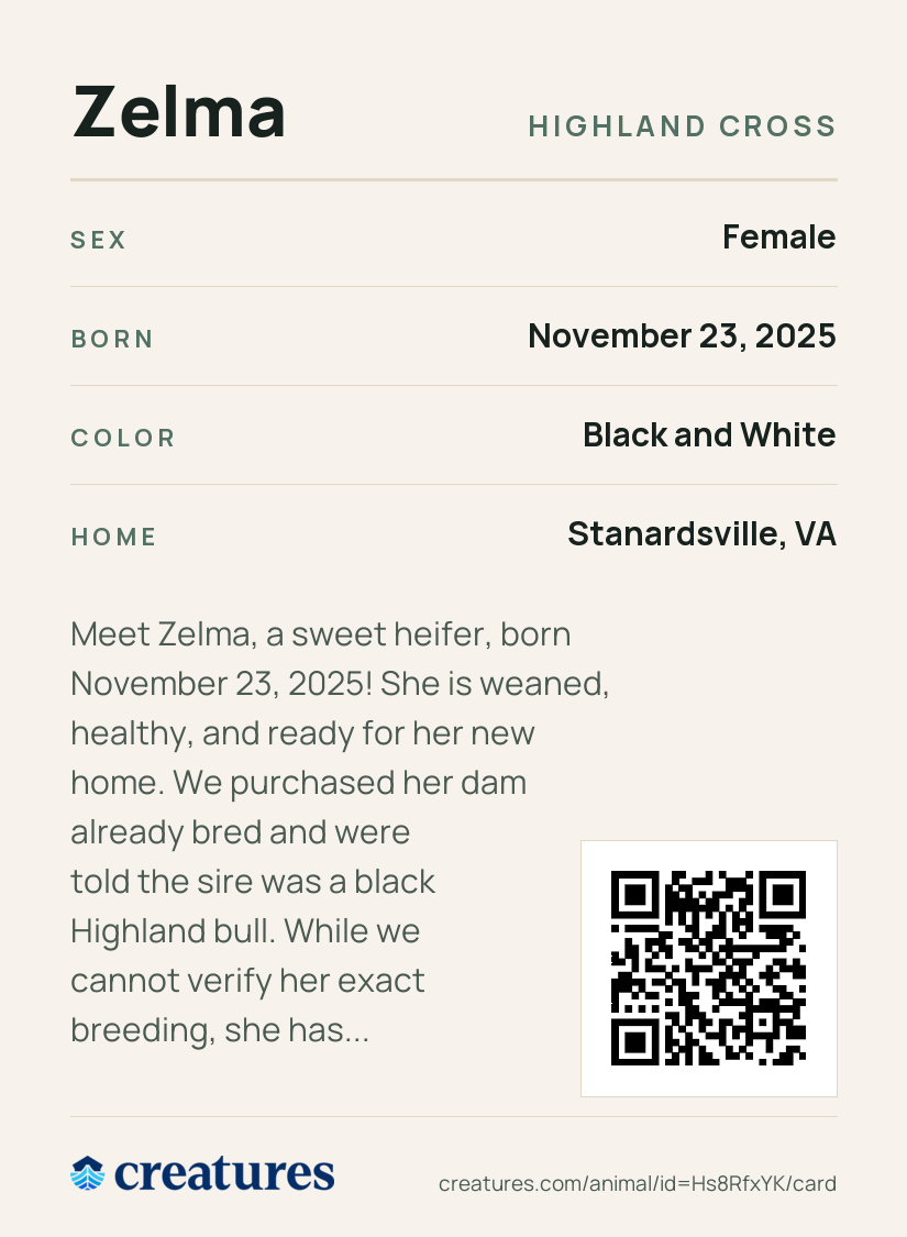 Zelma Creature Card back